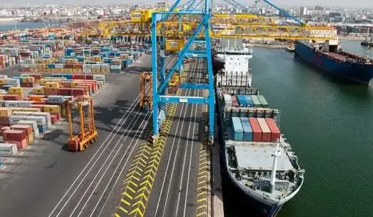 وزارة الفلاحة: أنشطة التصدير مستمرة .. والأولية للسوق الوطني