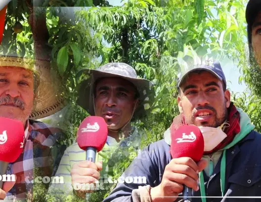 يوميات فلاح في رمضان.. تحديات كبيرة ومردودية أكثر في العمل