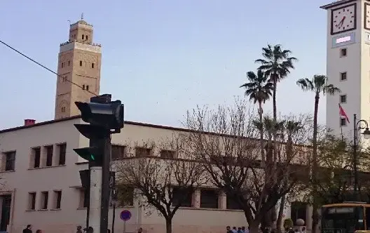 384 إصابة بكورونا في الشرق ترفع إجمالي الحالات إلى 7822