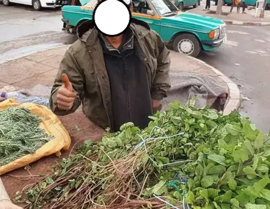 الأونسا: نعناع “سوس” خطير على الصحة .. والسبب المبيدات (وثيقة)