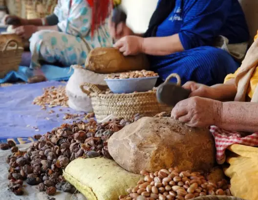 تافكورت.. عرف أمازيغيّ عريق يرخي بظلاله في قبائل آدرار