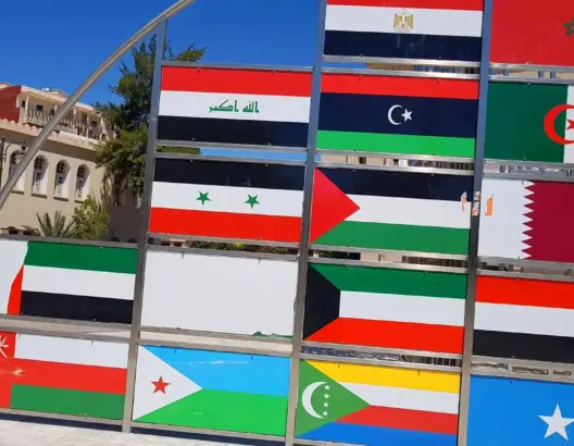 بعد العلم السعودي.. تمزيق علم الإمارات بوجدة والشيات: عمل مرفوض (صور)