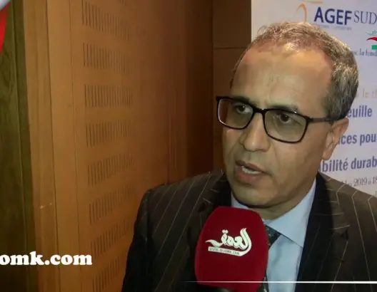 خبير: هذه علاقة الإنجليزية والفرنسية بسوق الشغل المغربي (فيديو)