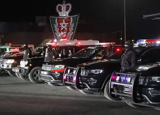 تجديد السيارات الأمنية.. مديرية الحموشي تضع 660 مركبة جديدة رهن إشارة الأمن