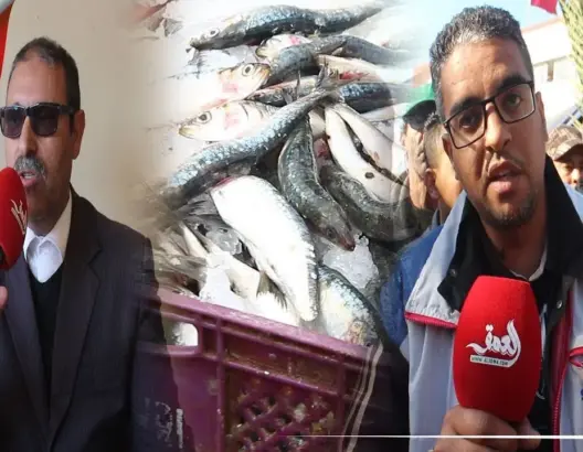 “العمق” بسوق الجملة للسمك.. مهنيون يتحدثون عن الأسعار (فيديو)