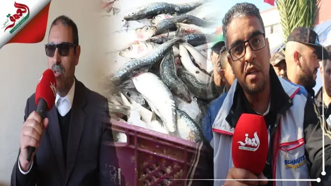 “العمق” بسوق الجملة للسمك.. مهنيون يتحدثون عن الأسعار (فيديو)