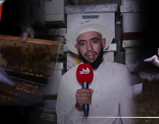 نحال من أزيلال يكشف طريقة التمييز بين العسل الحر والمغشوش