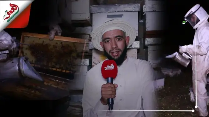 نحال من أزيلال يكشف طريقة التمييز بين العسل الحر والمغشوش
