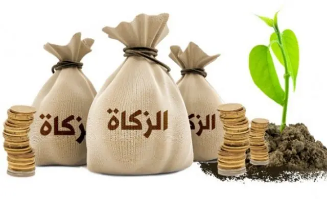 أصل اعتبار الراجح في زكاة الفطر