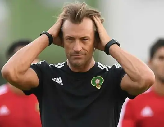 رونار يرحل عن المنتخب بعد أمم إفريقيا.. ومحلل: دون تأثير