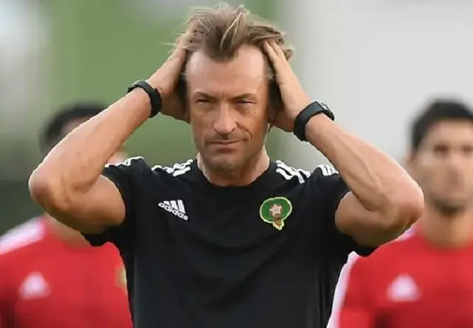 رونار يرحل عن المنتخب بعد أمم إفريقيا.. ومحلل: دون تأثير
