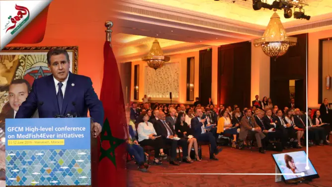 أخنوش: وزارتنا حريصة على الحفاظ على الثروة السمكية بتطبيق القوانين