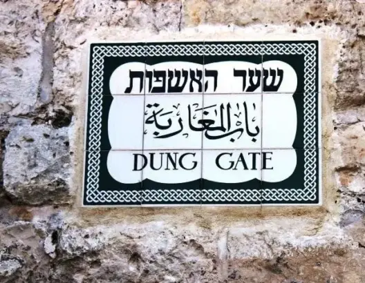 بمئات من علماء المغرب.. هكذا كانت القدس قبلة للعلم لـ6 قرون