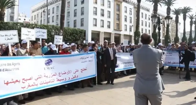 اتحاد مهني للتأمين يضرب عن العمل ويحتج بإغلاق شركات التأمين