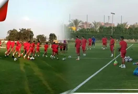 خليلوزيتش يقود الأسود أمام النيجر.. فرصة لاختبار البدلاء