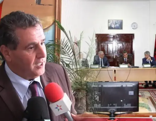 أخنوش: برنامج غرس 3 ملايين نخلة (09-2020) تجاوز أهدافه