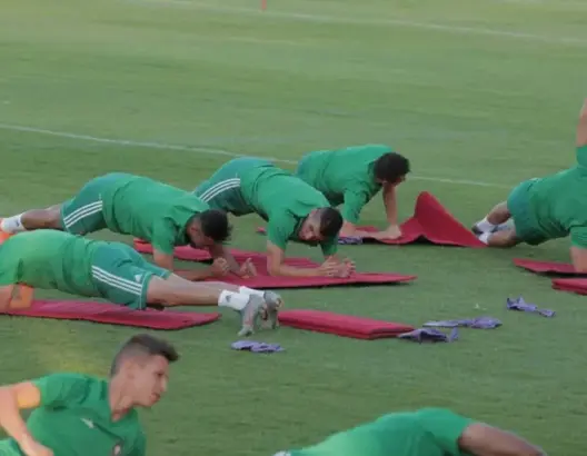 المنتخب المغربي يواصل استعداده للقاء ساحل العاج وأعينه على التأهل