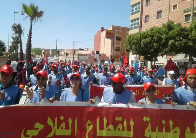 الجامعة الوطنية للقطاع الفلاحي