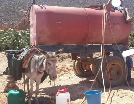 العطش يفتك بدوار ضواحي إفني لأزيد من أسبوعين.. والساكنة تستغيث (صور)