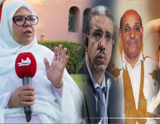 برومو.. أبلاضي تقصف البيجيدي وولد الرشيد وتنمية الأقاليم الجنوبية بجرأة كبيرة