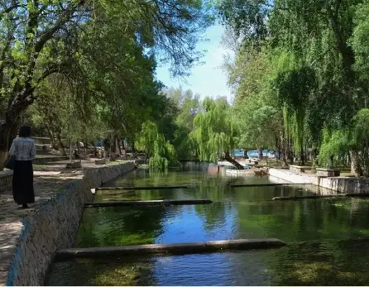 شركة مياه معدنية تطلق عملية لتنظيف ضفاف منبع عين سلطان