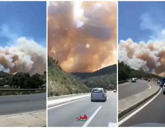 حريق مهول بغابة “عين الحصن” بالطريق الرابطة بين تطوان وطنجة (صور)