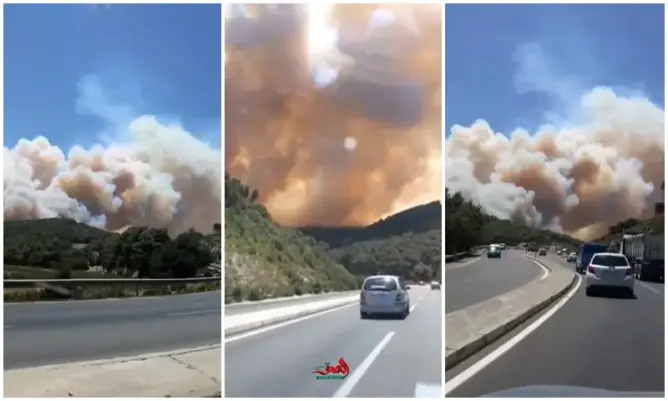 حريق مهول بغابة “عين الحصن” بالطريق الرابطة بين تطوان وطنجة (صور)