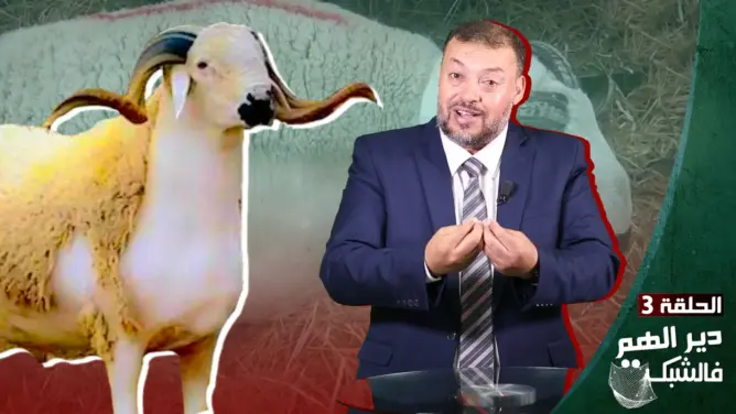 مسرور يعدد الفوارق بين خروف ولاد الشعب وخروف الأسواق الممتازة (فيديو)
