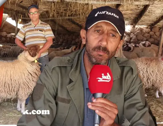 تعرف على كيفية معرفة جودة “أضحية العيد” وطرق تربيتها السليمة (فيديو)