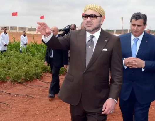 وزير مالي: الملك قاد بحكمة كبيرة إصلاحات شملت مختلف المجالات