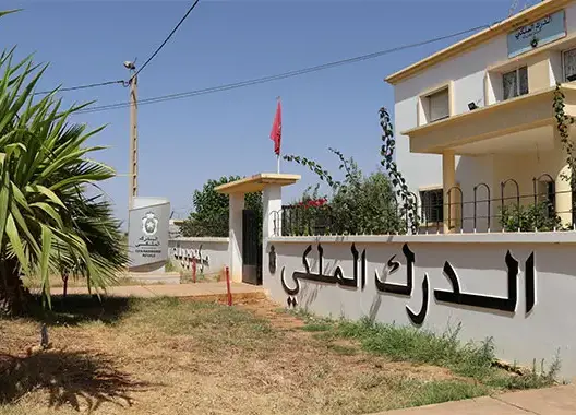 قاصر يضرم النار في صديقه ويفر هاربا قبل اعتقاله ضواحي الحاجب