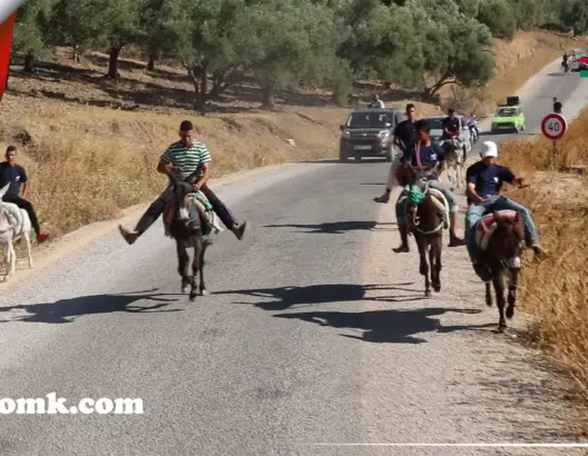 “سباق الحمير” ببني عمار يعود في دورة جديدة.. تعرفوا على الفائز