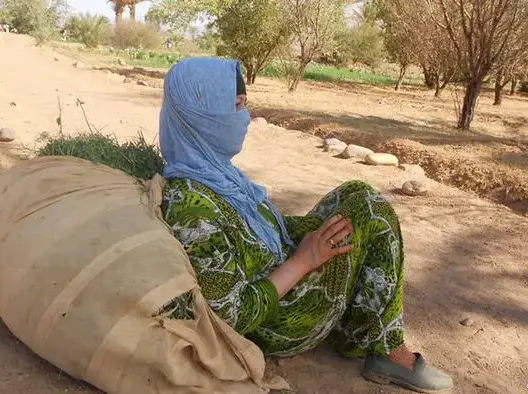 ائتلاف الجبل يثمن توجيهات الملك للنهوض بالمناطق الهشة ويدعو إلى ترجمتها لإجراءات عملية
