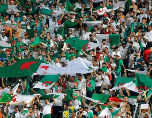 نهائي أمم إفريقيا.. 28 طائرة لنقل جماهير الجزائر إلى القاهرة