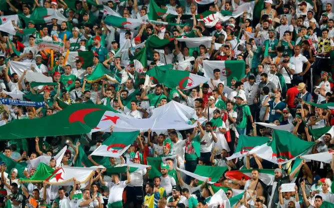 نهائي أمم إفريقيا.. 28 طائرة لنقل جماهير الجزائر إلى القاهرة