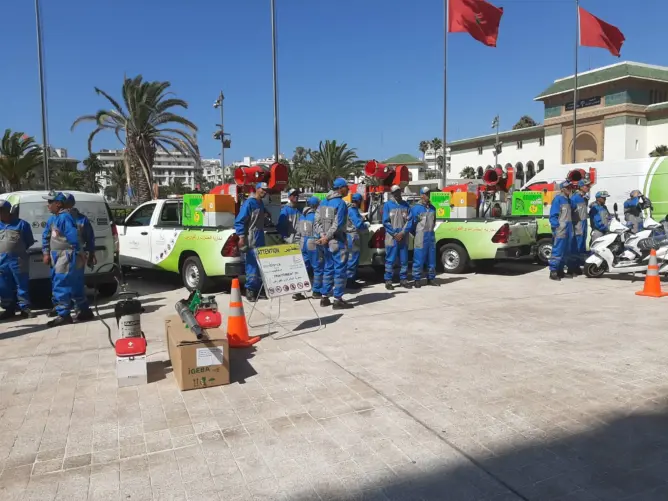 بشرى للبيضاويين.. آليات متطورة لمواجهة الفئران والحشرات والكلاب الضالة (صور)