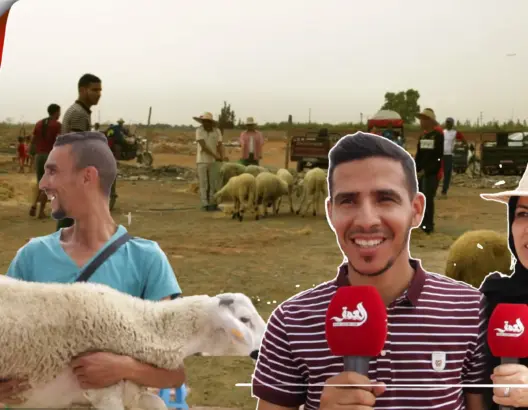 تفاديا لإحراجهن.. نشطاء يخلقون سوقا لتوزيع أضاح على الأرامل بمراكش (فيديو)