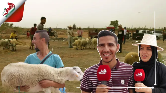 تفادوا إحراج الأرامل فأحدثوا سوقا لبيع أضاحي العيد (فيديو)