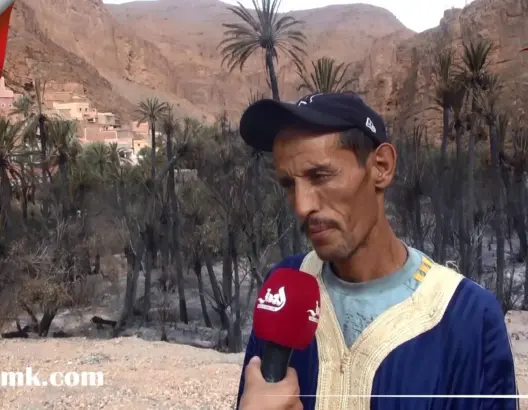 حريق مهول بواحة “أيت منصور” يحول هكتارات من النخيل إلى رماد (فيديو)
