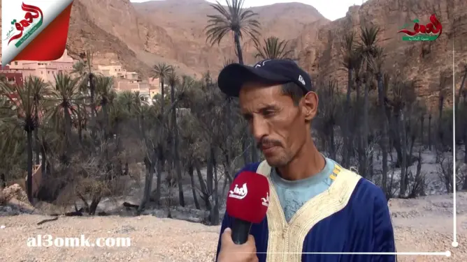 حريق مهول بواحة “أيت منصور” يحول هكتارات من النخيل إلى رماد (فيديو)