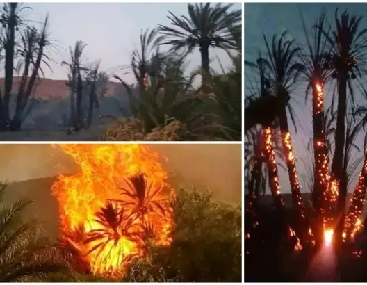 كان يحاول إطفاء النيران.. مصرع شخص في حريق بواحة قرب الرشيدية (صور)