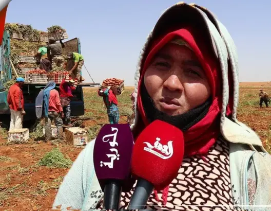 كريمة .. أمٌّ مغربية تكشف تفاصيل معاناتها اليومية وسط الحقول (فيديو)