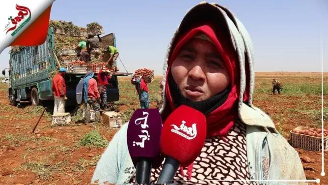 كريمة .. أمٌّ مغربية تكشف تفاصيل معاناتها اليومية وسط الحقول (فيديو)