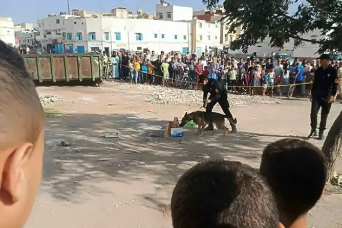العثور على قارورات “مشبوهة” بحاوية للأزبال يستنفر أمن أكادير (صور)