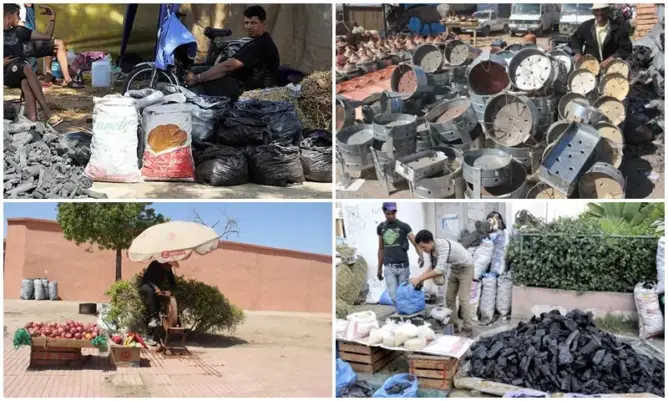“التشابولا”.. مهنة موسمية تُنعش جيوب مراكشيين في العيد (صور)