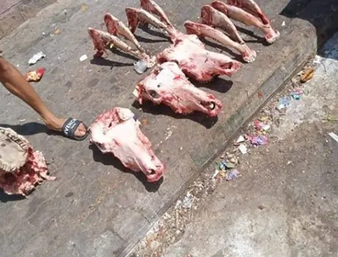 مواطنون يعثرون على رؤوس وعظام حمير بالحي المحمدي بالبيضاء