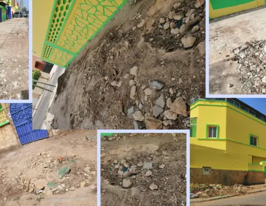 مسؤول مدرسة خاصة يقتلع أشجارا بآسفي.. ومطالب بالتحقيق (صور)