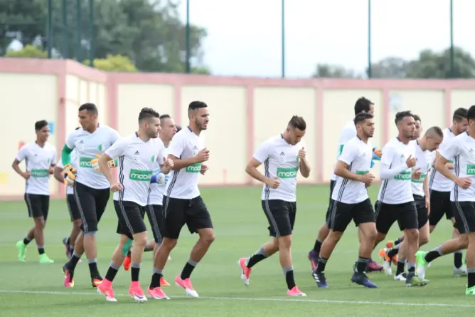 بإشراف بلماضي .. الجزائريون في تربص إعدادي لمواجهة المغرب