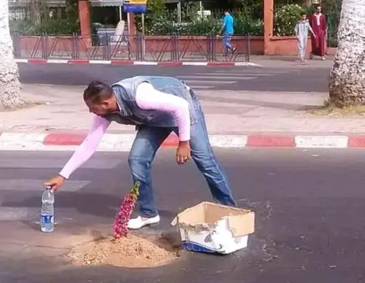 احتجاجا على عدم إصلاحها.. شاب يزرع شجرة في حفرة بطريق في إنزكان