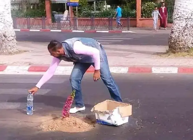 احتجاجا على عدم إصلاحها.. شاب يزرع شجرة في حفرة بطريق في إنزكان